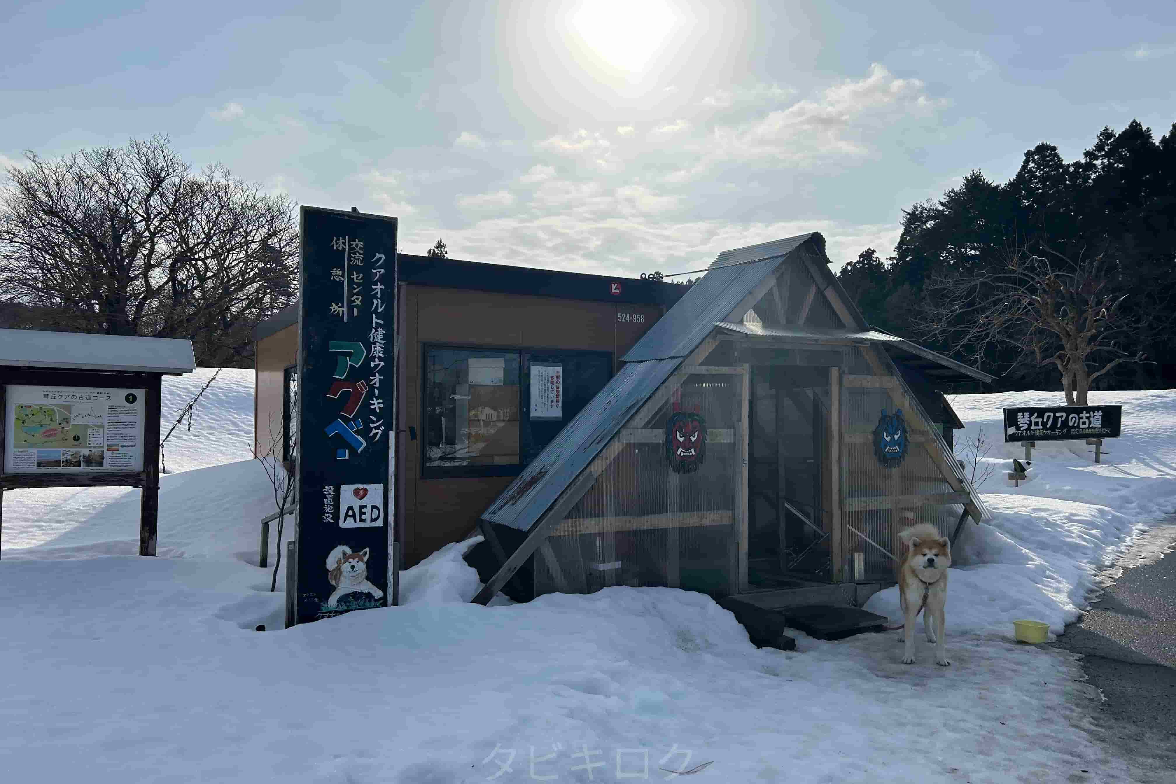 マサくんお出迎え