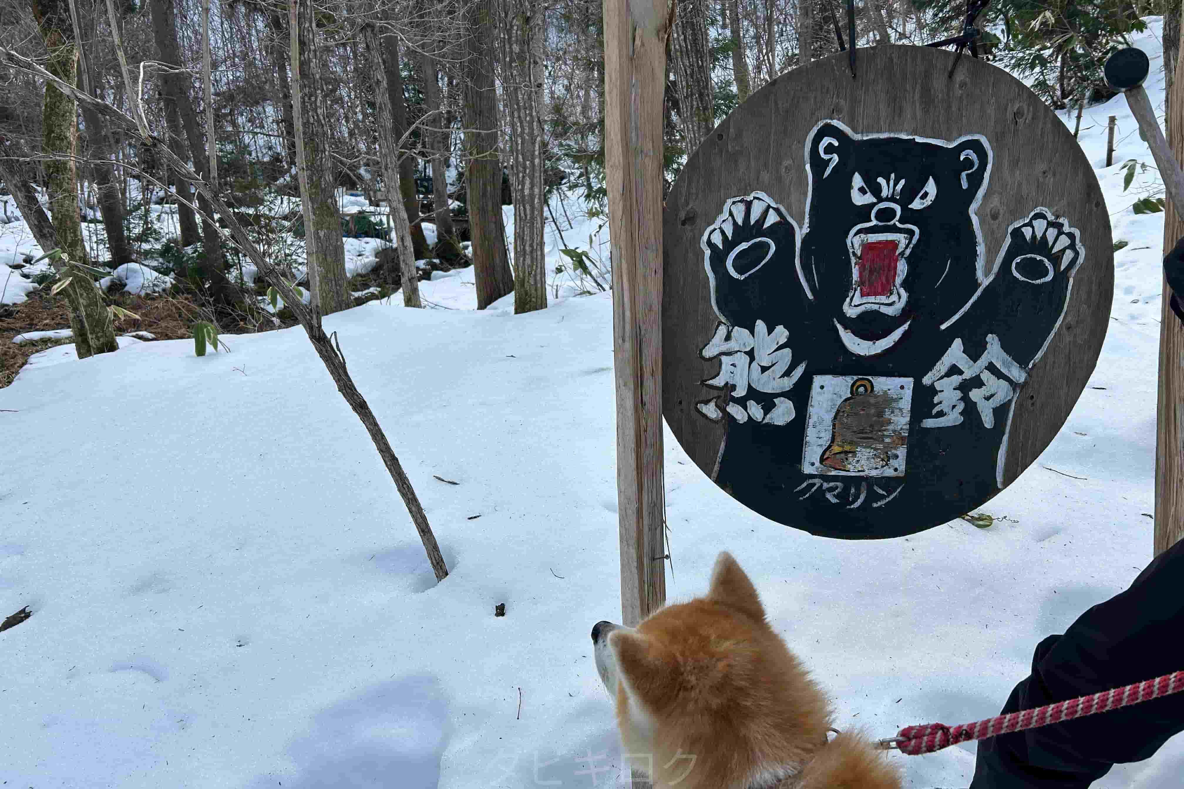 熊除け板2