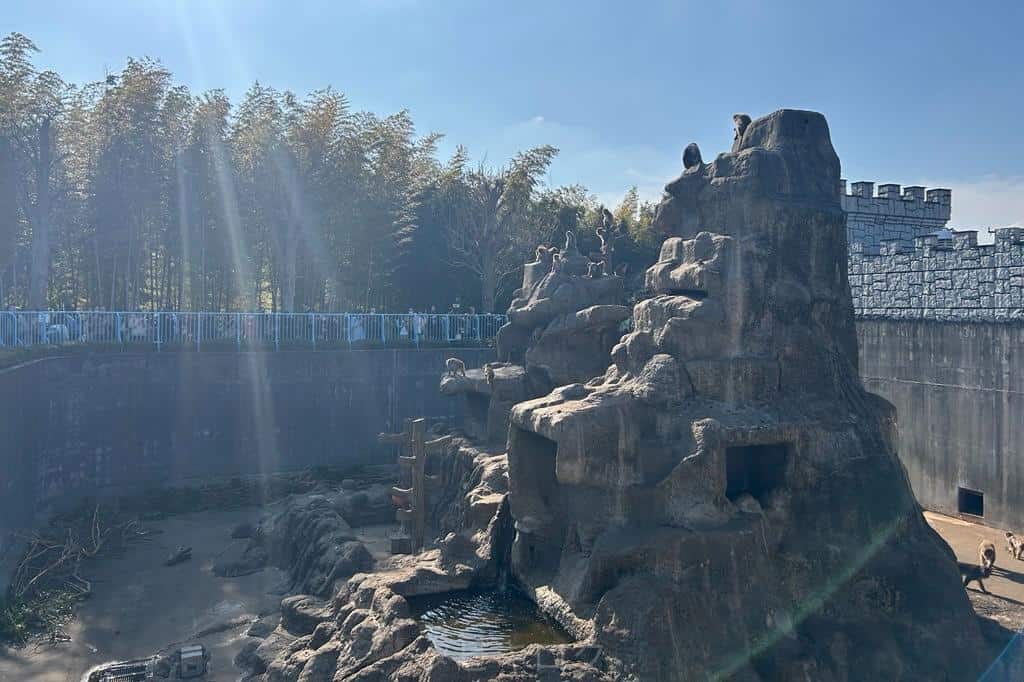 市川市動植物園サル山