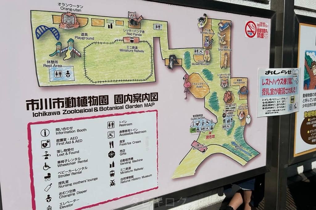 市川市動植物園マップ