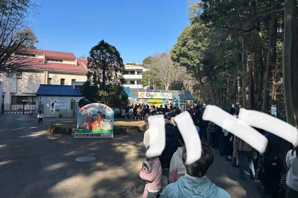 市川市動植物園待機列