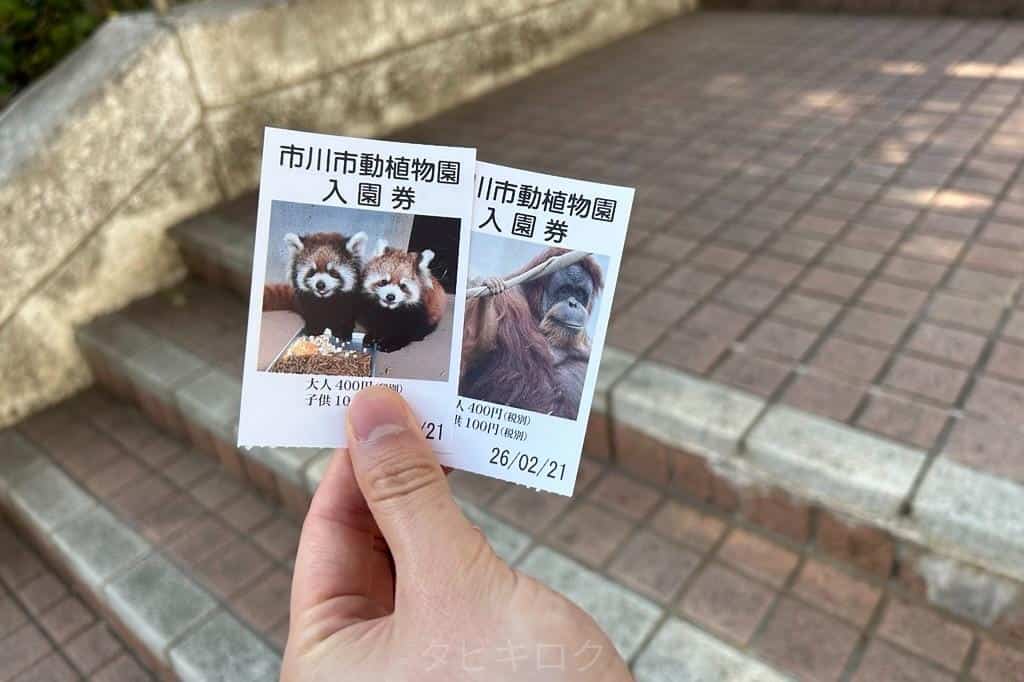市川市動植物園入場券の写真