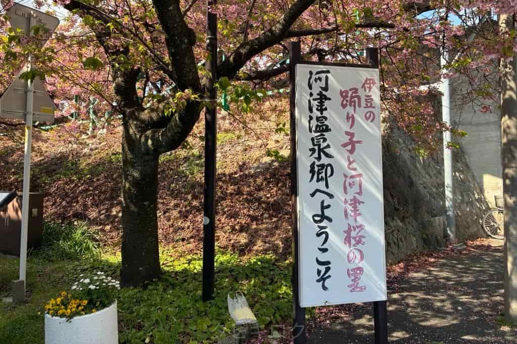 河津桜まつり