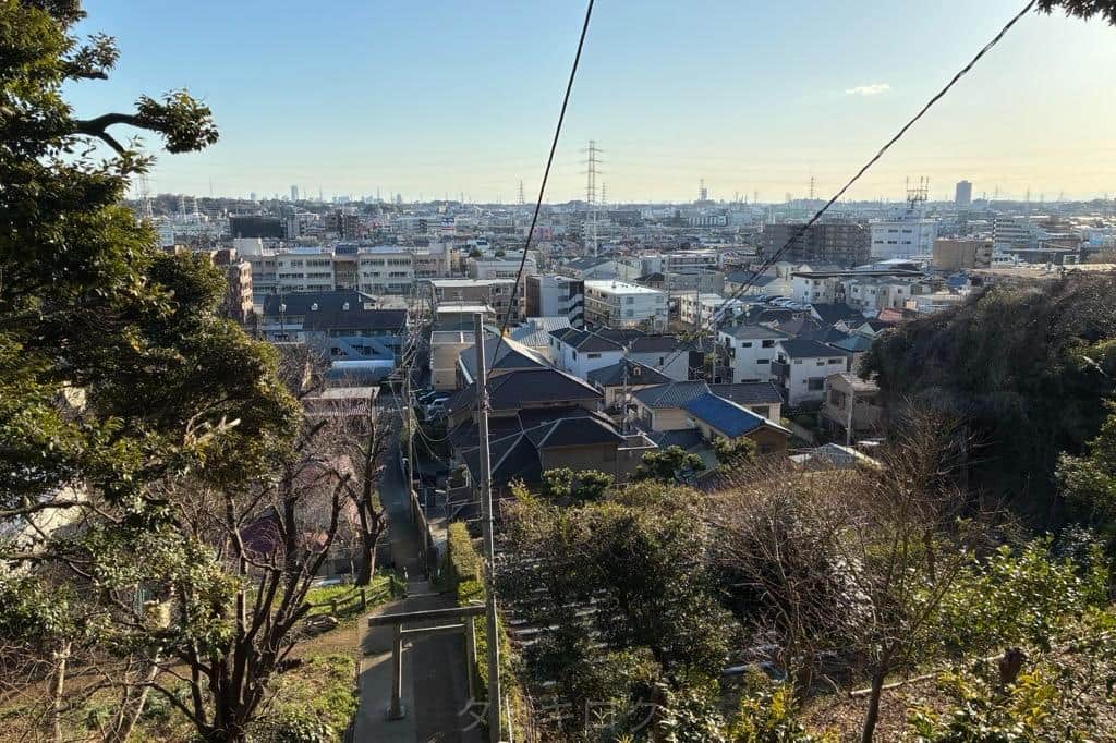 夢見ヶ崎動物公園からの景色